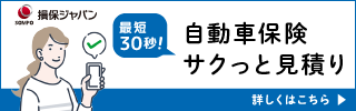 損保ジャパン 自動車保険サクっと見積りサービス